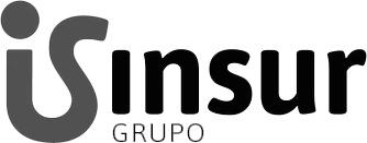 Grupo Insur